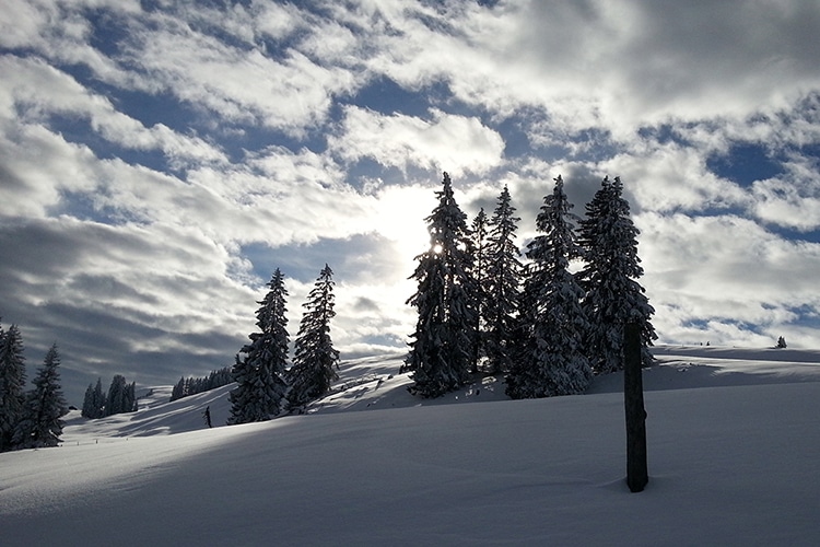 Sonnegg Hotel Garni Zweisimmen