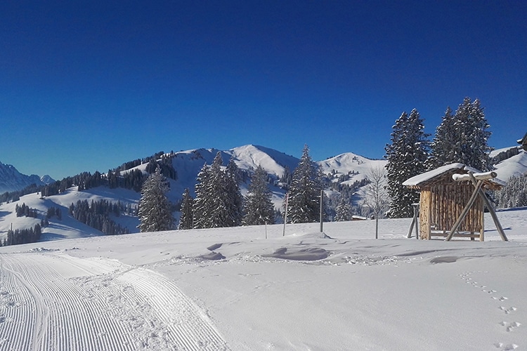 Sonnegg Hotel Garni Zweisimmen