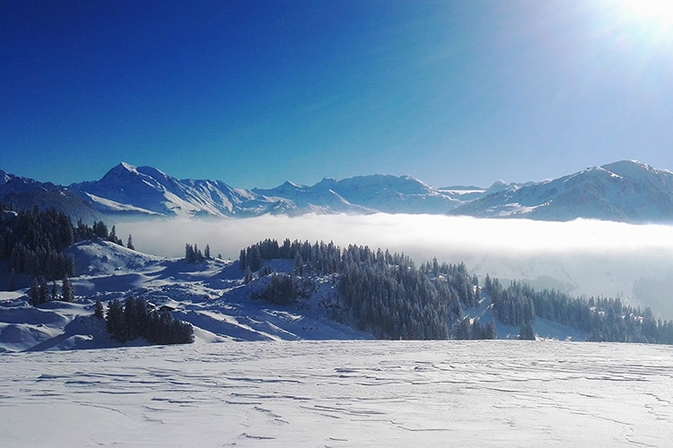 Sonnegg Hotel Garni Zweisimmen