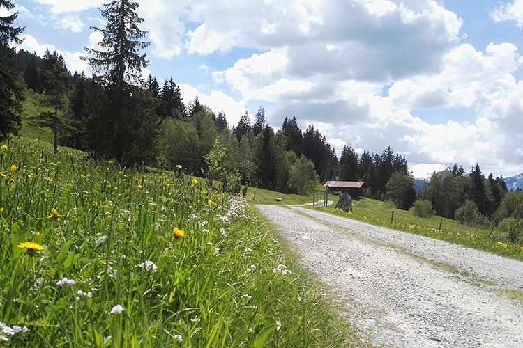 Sonnegg Hotel Garni Zweisimmen