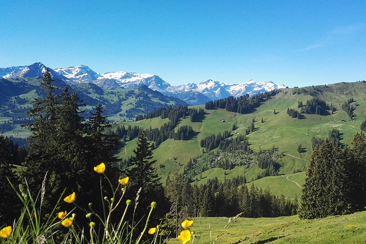 Sonnegg Hotel Garni Zweisimmen