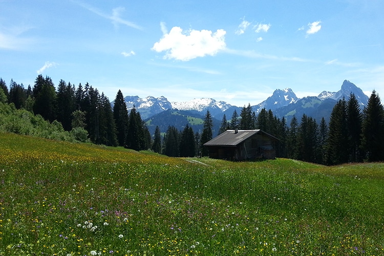 Sonnegg ***Hotel Garni Zweisimmen